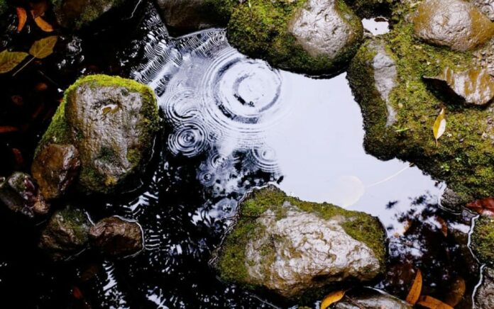 дождевая вода